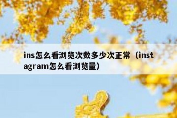ins怎么看浏览次数多少次正常（instagram怎么看浏览量）