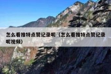 怎么看推特点赞记录呢（怎么看推特点赞记录呢视频）