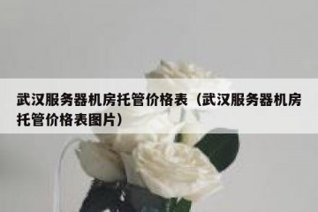 武汉服务器机房托管价格表（武汉服务器机房托管价格表图片）