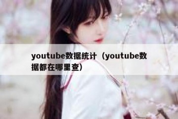 youtube数据统计（youtube数据都在哪里查）