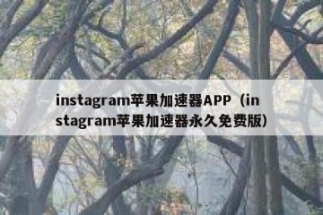 instagram苹果加速器APP（instagram苹果加速器永久免费版）