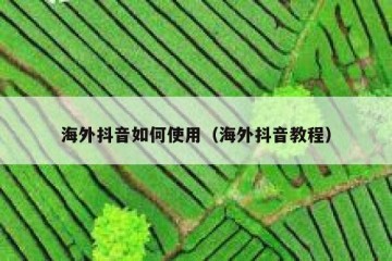海外抖音如何使用（海外抖音教程）