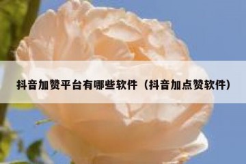 抖音加赞平台有哪些软件（抖音加点赞软件）