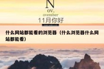 什么网站都能看的浏览器（什么浏览器什么网站都能看）
