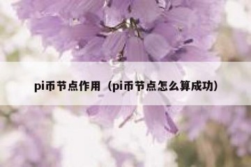 pi币节点作用（pi币节点怎么算成功）