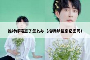 推特邮箱忘了怎么办（推特邮箱忘记密码）