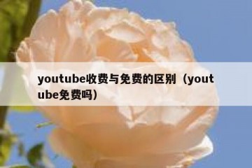 youtube收费与免费的区别（youtube免费吗）