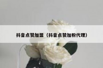 抖音点赞加盟（抖音点赞加粉代理）