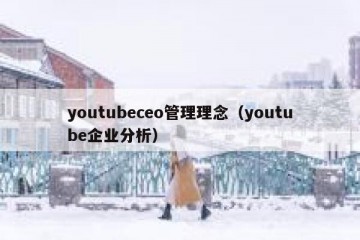 youtubeceo管理理念（youtube企业分析）