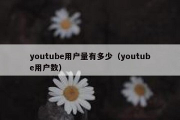 youtube用户量有多少（youtube用户数）