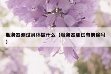 服务器测试具体做什么（服务器测试有前途吗）