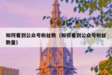 如何看到公众号粉丝数（如何看到公众号粉丝数量）