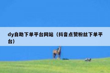 dy自助下单平台网站（抖音点赞粉丝下单平台）