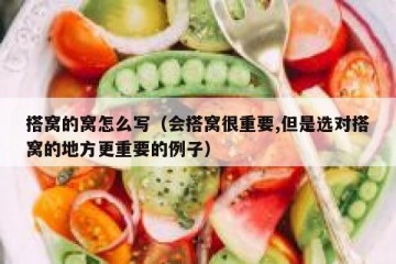 搭窝的窝怎么写（会搭窝很重要,但是选对搭窝的地方更重要的例子）