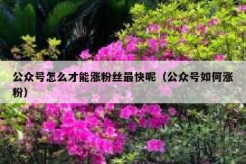 公众号怎么才能涨粉丝最快呢（公众号如何涨粉）
