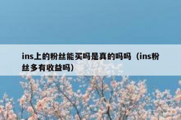 ins上的粉丝能买吗是真的吗吗（ins粉丝多有收益吗）