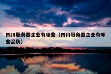 四川服务器企业有哪些（四川服务器企业有哪些品牌）