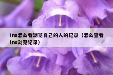 ins怎么看浏览自己的人的记录（怎么查看ins浏览记录）