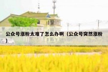公众号涨粉太难了怎么办啊（公众号突然涨粉）