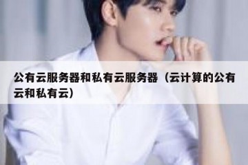 公有云服务器和私有云服务器（云计算的公有云和私有云）