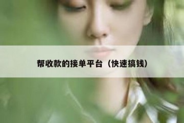 帮收款的接单平台（快速搞钱）