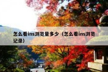怎么看ins浏览量多少（怎么看ins浏览记录）