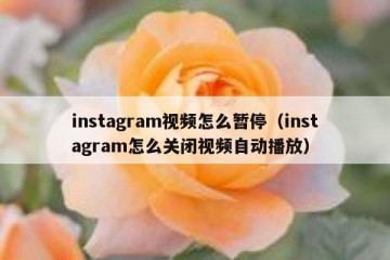 instagram视频怎么暂停（instagram怎么关闭视频自动播放）