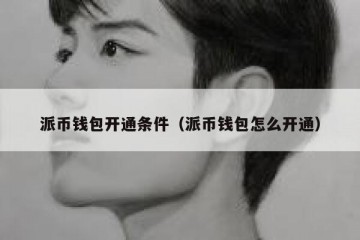 派币钱包开通条件（派币钱包怎么开通）