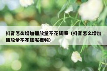 抖音怎么增加播放量不花钱呢（抖音怎么增加播放量不花钱呢视频）