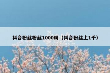 抖音粉丝粉丝1000粉（抖音粉丝上1千）