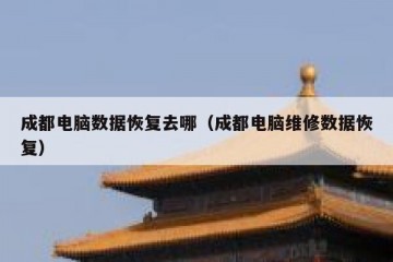 成都电脑数据恢复去哪（成都电脑维修数据恢复）