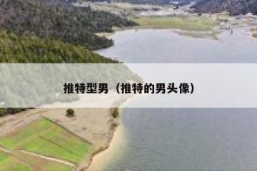 推特型男（推特的男头像）