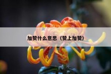 加赞什么意思（赞上加赞）