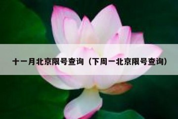 十一月北京限号查询（下周一北京限号查询）