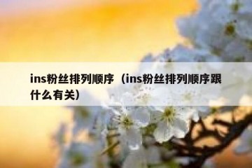 ins粉丝排列顺序（ins粉丝排列顺序跟什么有关）