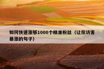 如何快速涨够1000个精准粉丝（让你访客暴涨的句子）