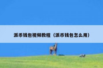 派币钱包视频教程（派币钱包怎么用）