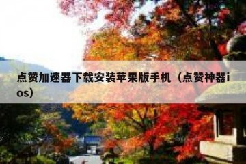 点赞加速器下载安装苹果版手机（点赞神器ios）