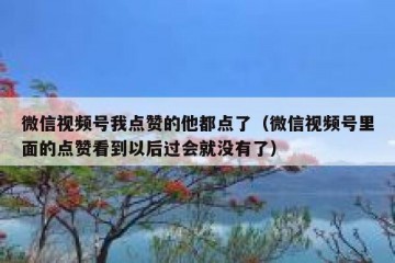 微信视频号我点赞的他都点了（微信视频号里面的点赞看到以后过会就没有了）