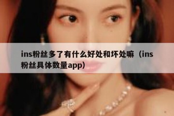 ins粉丝多了有什么好处和坏处嘛（ins粉丝具体数量app）