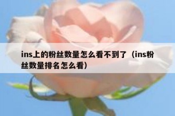 ins上的粉丝数量怎么看不到了（ins粉丝数量排名怎么看）