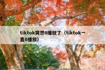 tiktok突然0播放了（tiktok一直0播放）