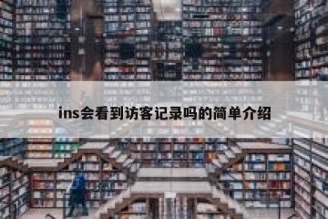ins会看到访客记录吗的简单介绍