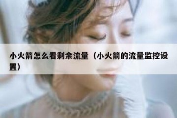 小火箭怎么看剩余流量（小火箭的流量监控设置）