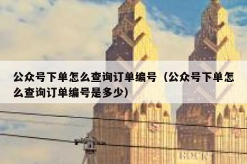 公众号下单怎么查询订单编号（公众号下单怎么查询订单编号是多少）