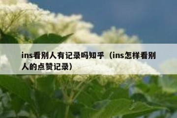 ins看别人有记录吗知乎（ins怎样看别人的点赞记录）