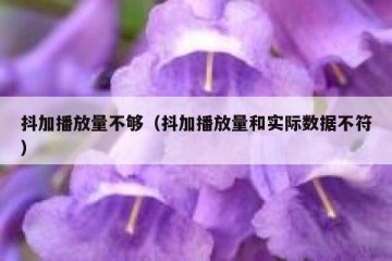 抖加播放量不够（抖加播放量和实际数据不符）