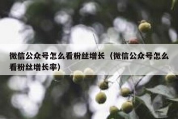 微信公众号怎么看粉丝增长（微信公众号怎么看粉丝增长率）