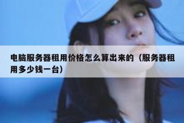 电脑服务器租用价格怎么算出来的（服务器租用多少钱一台）