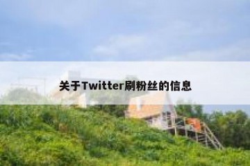 关于Twitter刷粉丝的信息